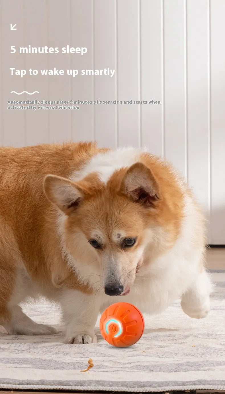 Smart Interactive Cat Toy Ball – Self-Rolling, USB Rechargeable